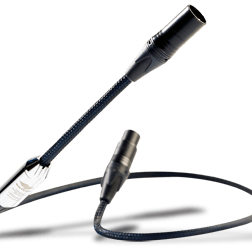 Siltech Classic Anniversary Interconnect mit XLR-Anschluss